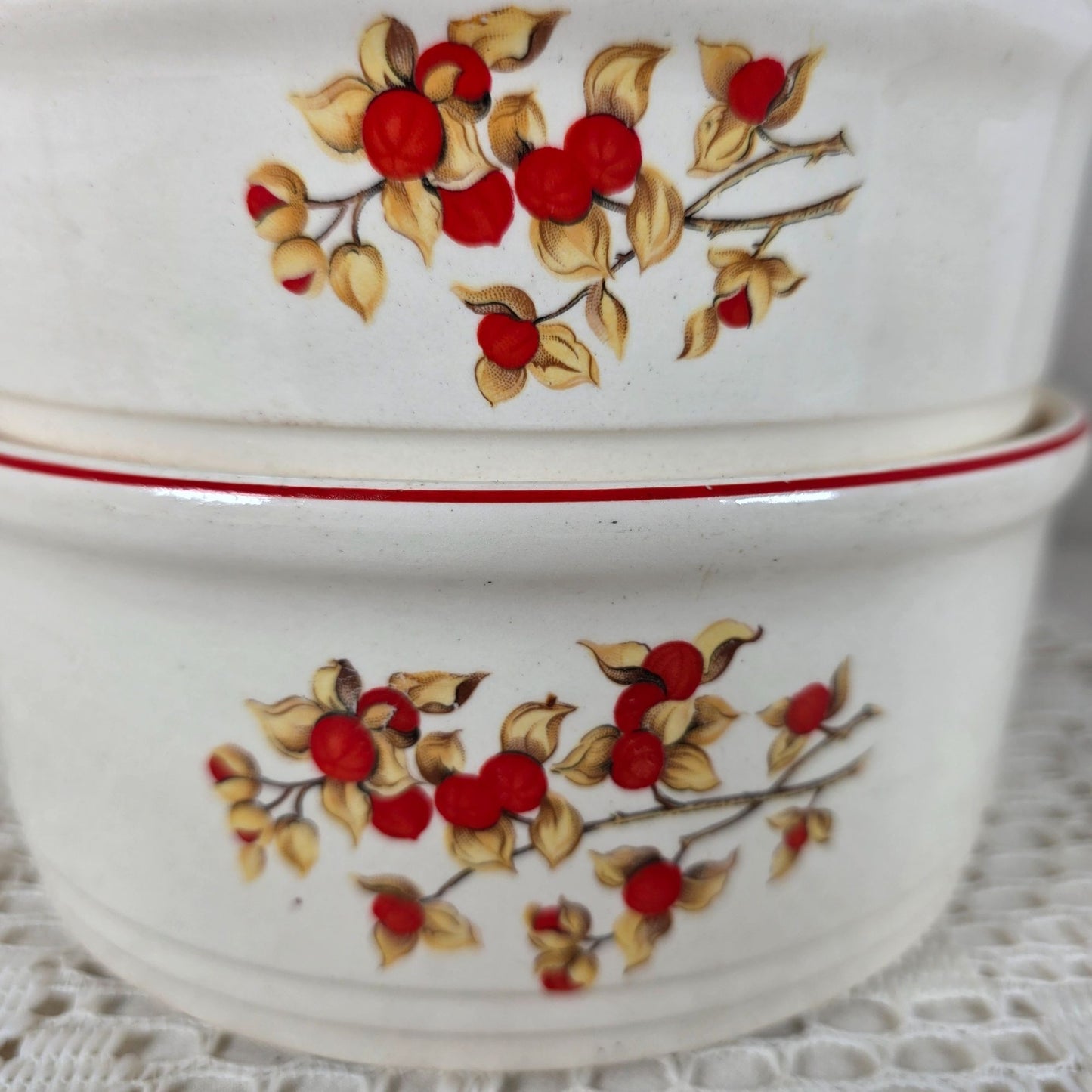 Vintage Ovenproof Stoneware Bittersweet Berry Casserole Dish Set with Lid USA