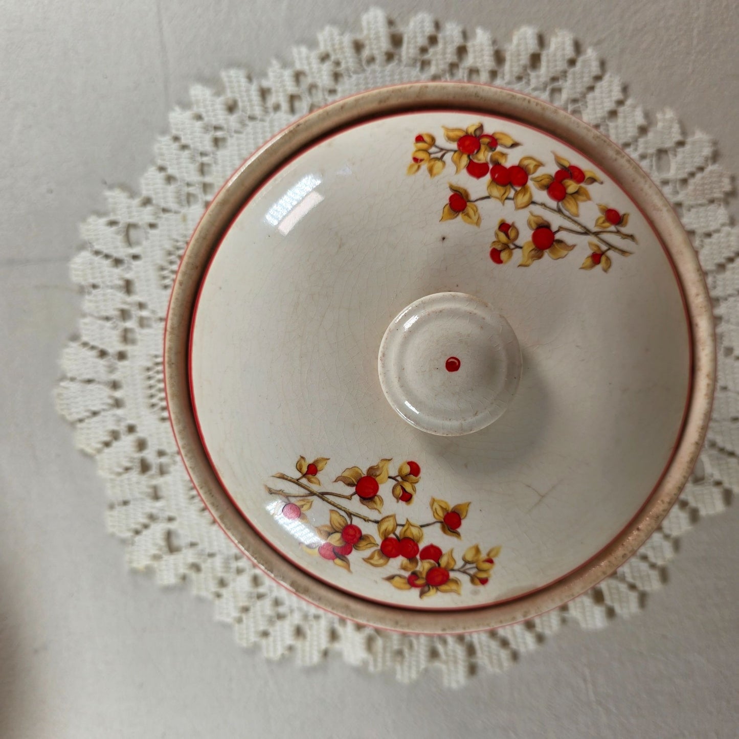 Vintage Ovenproof Stoneware Bittersweet Berry Casserole Dish Set with Lid USA